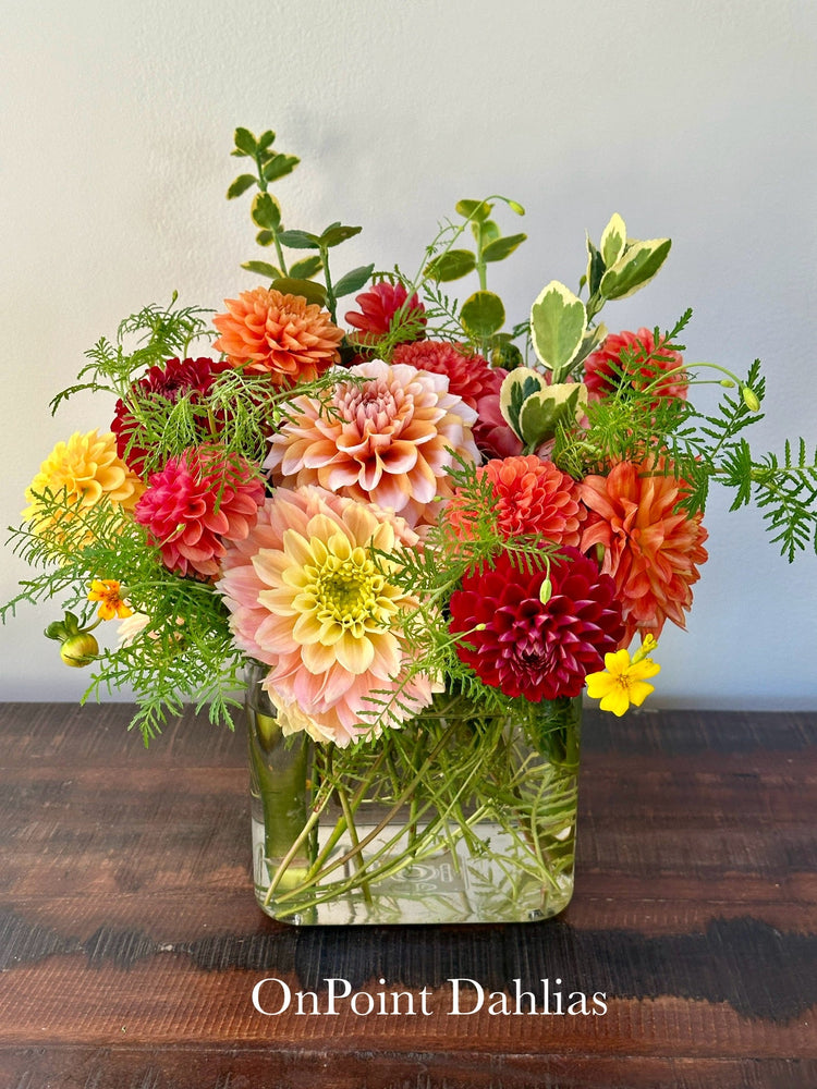 Dahlia Sorbet Arrangement