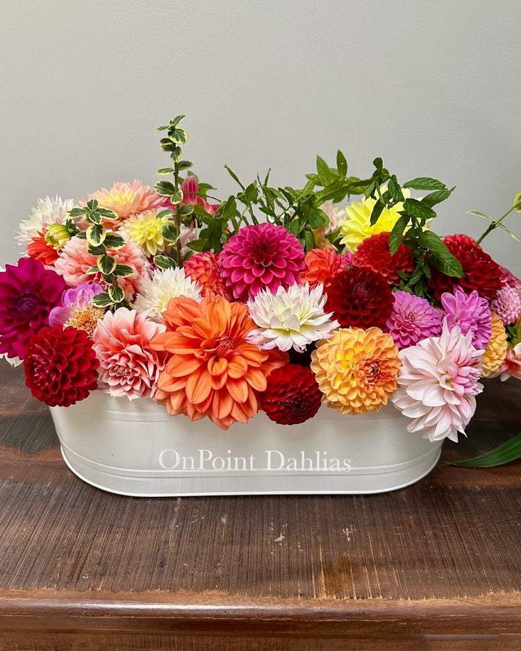 Dahlia Season Arrangement