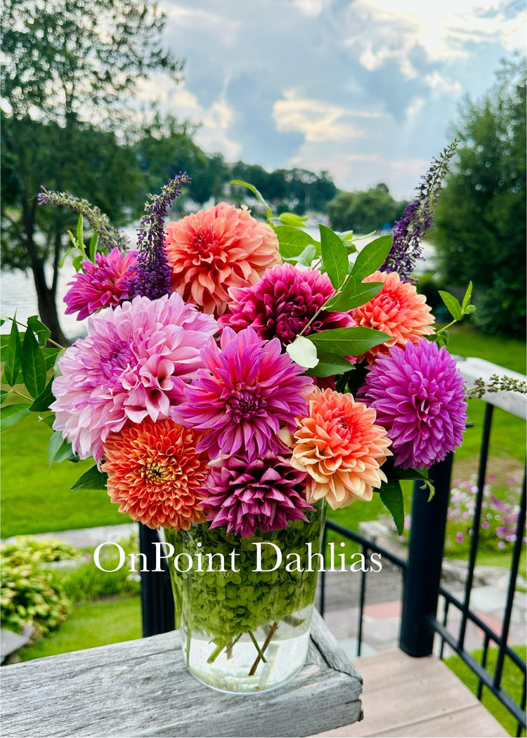 Summer Bounty