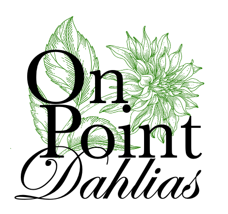 OnPoint Dahlias Gift Card